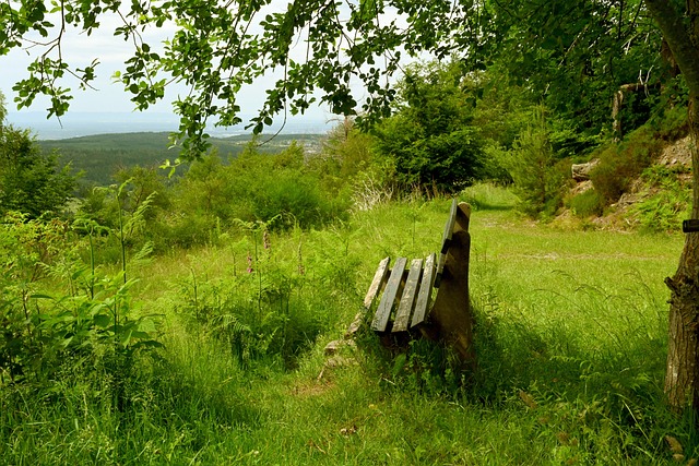 男篮传奇得分后卫曾对科比砍20分，800度近视神准投篮