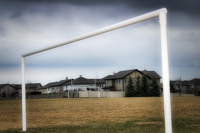 记者晒视频：钟义浩现场观看海牛比赛，海牛进球后他兴奋鼓掌