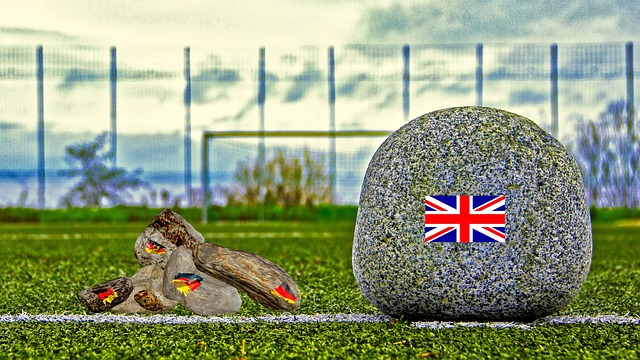 而是职业生 而是职业生