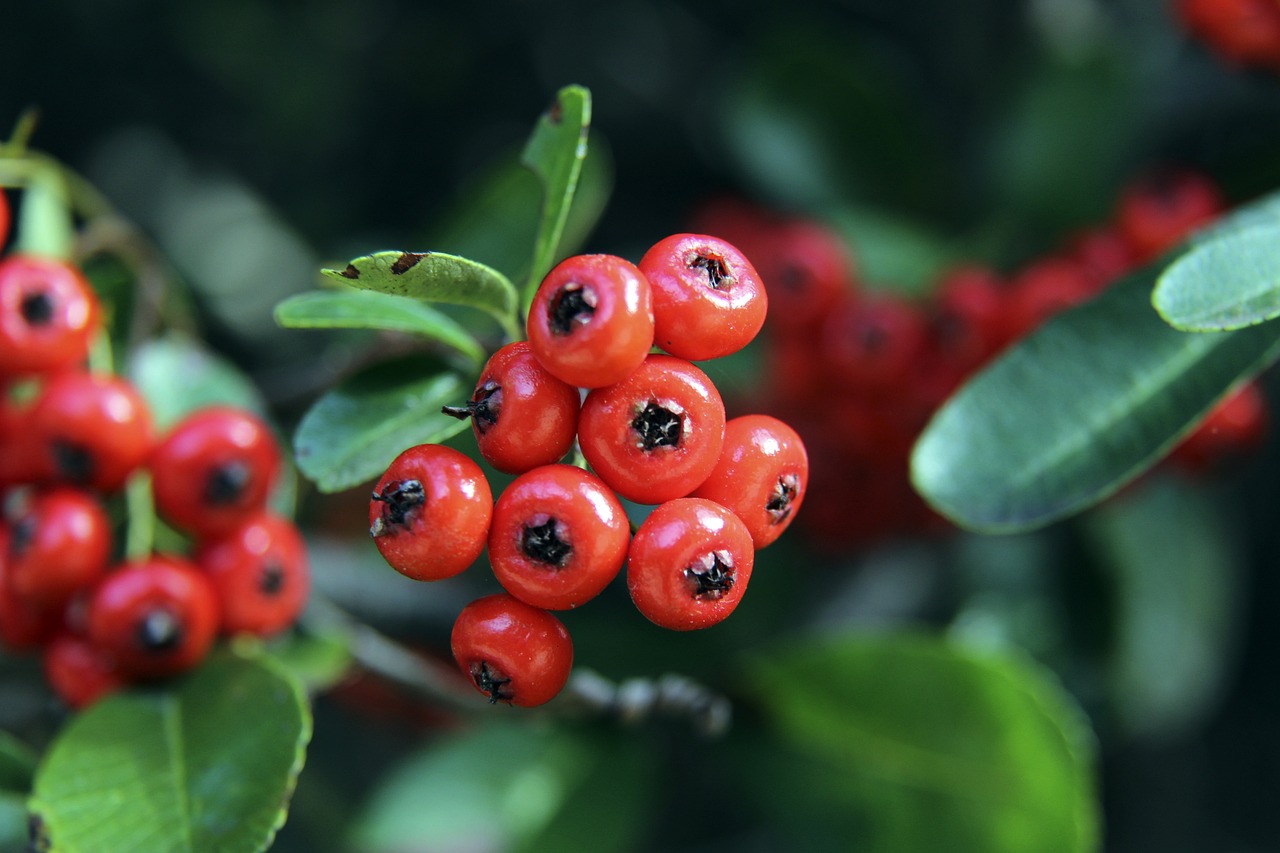 最佳的表現 最佳的表現