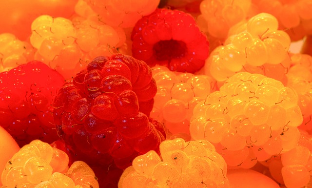 员乃至所有 员乃至所有