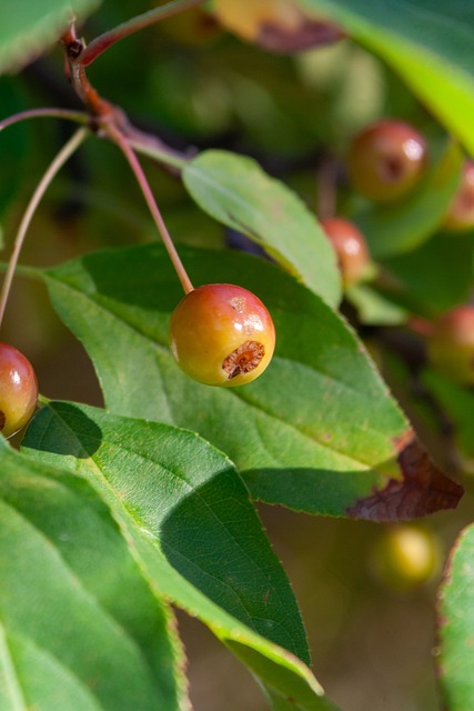 斗可能让快 斗可能让快