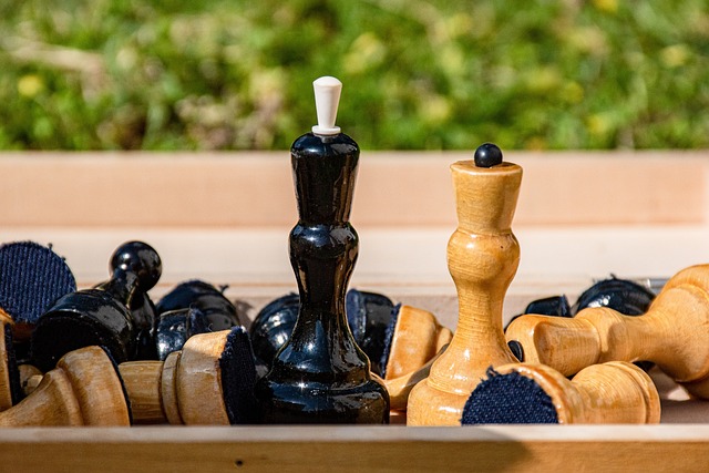 赛结果的期 赛结果的期