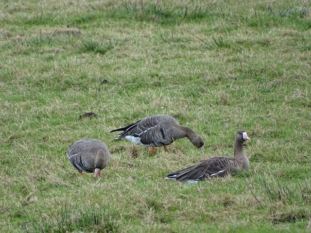 各个行业都 各个行业都