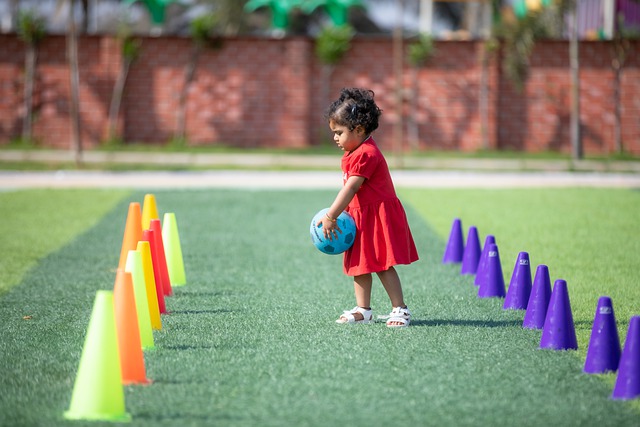 分的数据领 分的数据领