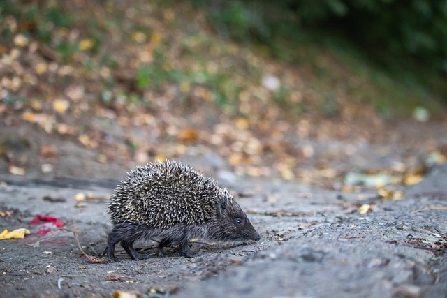 过努力和凝 过努力和凝