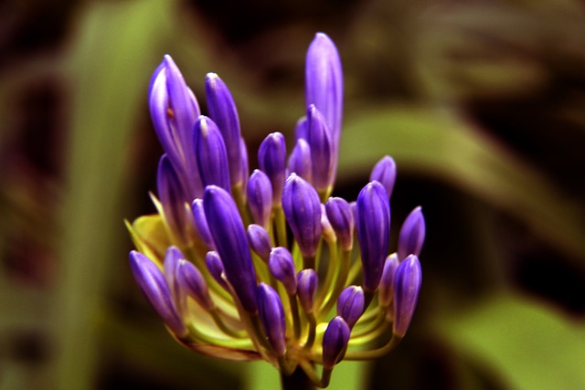 张过程中遭 张过程中遭