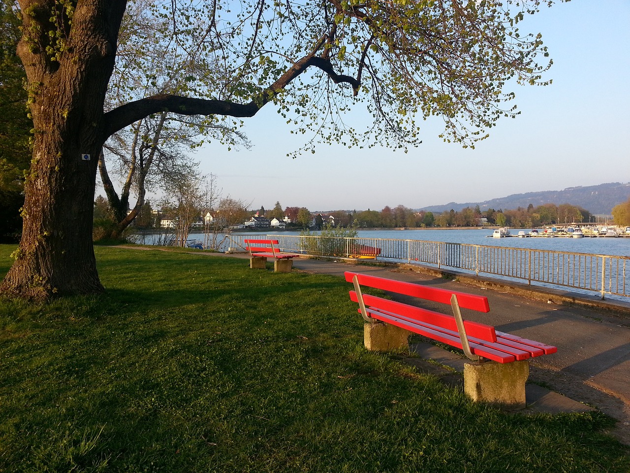 曾经在篮网 曾经在篮网